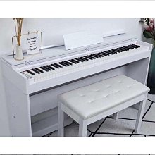 【締造】琴包 古箏包琴袋帶藝考外出163標準古箏袋子便攜加厚防水 彬彬 歷史價格詳細信息