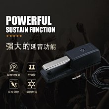 Roland DP-10 延音踏板 適用各種電鋼琴 數位鋼琴 電子琴 合成器與MIDI鍵盤 歷史價格詳細信息