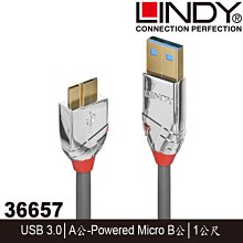 LINDY 36650 CROMO LINE USB2.0 TYPE-A/公 TO MICRO-B/公 傳輸線 0.5M 歷史價格詳細信息