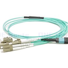 12芯 MPO母頭-MPO母頭 低損耗 美國康寧 OM3 1米光纖跳線 極性 TYPE A  MPO 12芯康寧光纖跳線 歷史價格詳細信息