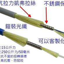 鎧裝光纖 SC-FC 3M 單模單芯 鎧裝光纖跳線SC/UPC FC/UPC 3mm 防鼠咬 抗拉力 可客製化 網絡 歷史價格詳細信息