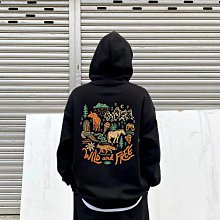 新款北面/THE NORTH FACE Hedgehog 男款戶外防水高筒登山徒步鞋 歷史價格詳細信息