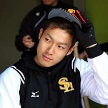 日本帶回 手工製作 兔兔 胸針 歷史價格詳細信息