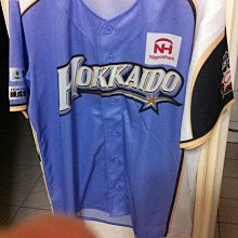 北海道日本火腿 王柏融 非賣品 球場配布 紀念公仔1組900元直購 看關於我 歷史價格詳細信息