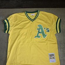 MLB Mitchell & Ness 印地安人隊 Joe Carter 球員版 拉鏈 練習 偉殷  judge 大谷 子偉 jeter 洋基 紅襪 TROUT 歷史價格詳細信息