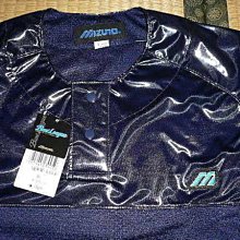 日本帶回深藍x白條紋蝴蝶結髮圈(全新) 歷史價格詳細信息