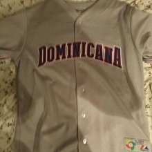 2006 WBC 多明尼加國家隊球員版球衣 價格比較,價格查詢,歷史價格詳細信息