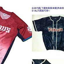 日本職棒西武獅~郭俊麟,吉祥物萊恩.萊娜絨毛掛件 歷史價格詳細信息