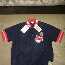 MLB Mitchell & Ness 印地安人隊 Joe Carter 球員版 拉鏈 練習 偉殷  judge 大谷 子偉 jeter 洋基 紅襪 TROUT 歷史價格詳細信息