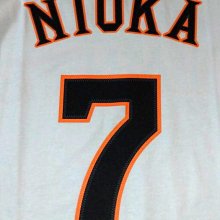 貳拾肆棒球--日本帶回～日職棒巨人二岡智宏比賽球員球衣造型TEE/adidas日製/L 歷史價格詳細信息