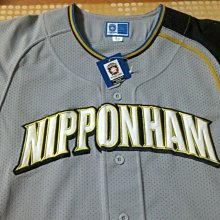 NPB 日本職棒 歐力士藍浪隊 鈴木一朗 紀念球 LOGO球 肖像球 簽名球 B 歷史價格詳細信息