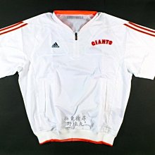 巨大 日治 全件 整檜板 檜木 藏物箱 檜木桌  . 皮殼超美 巨大尺寸 93 x 55 高 37 歷史價格詳細信息