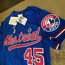 MLB Mitchell & Ness 印地安人隊 Joe Carter 球員版 拉鏈 練習 偉殷  judge 大谷 子偉 jeter 洋基 紅襪 TROUT 歷史價格詳細信息