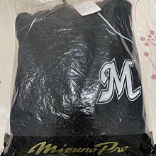 【日職嚴選】日本職棒琦玉西武獅 菊池雄星 栗山 吉祥物獅子 LEO 馬克杯 現貨 歷史價格詳細信息