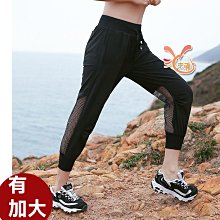 七十年後回顧：紀念二二八事件七十週年學術論文集 / 臺史所 歷史價格詳細信息