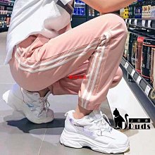 現貨 INS款 嬰幼兒兒童分體泳衣泳帽小童寶寶女孩小櫻桃可愛沙灘游泳度假 歷史價格詳細信息