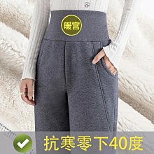 冬季棉運動刷毛背心大尺碼馬夾 羔羊絨毛馬甲男百搭休閒背心 休閒緊身立領無袖外套 加絨保暖馬夾 男生衣著-毛毛男裝 歷史價格詳細信息