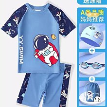 兒童泳衣褲男孩小中大童寶寶兩件式防曬泳裝2023新款速乾套遊泳裝備 歷史價格詳細信息