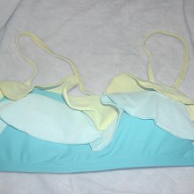 @╮全面淨空大特賣╭@一百零一元亂亂標~~深色花絮性感兩件式泳裝 歷史價格詳細信息