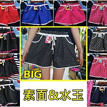KINI 沙麗泳裝18124 台灣製大女 泳衣[M/L]萊卡-運動型二件式-素面丈青(褲腰側特殊)特價1100元 歷史價格詳細信息