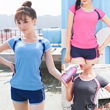 兩件貝娣泳裝M123女韓版多件式長袖長泳泳裝防曬衝浪裝浮潛游泳泡湯遊泳水母 歷史價格詳細信息