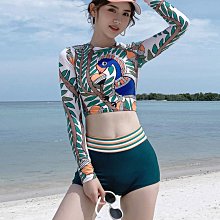 泳衣女高級感2024新款長袖保守ins連體裙式兩件套遮肚顯瘦辣妹裝 歷史價格詳細信息