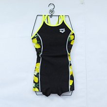 arena 女款連身競泳型泳衣FAR-2503WLC 歷史價格詳細信息