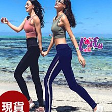 泳褲來福，V320泳褲浮潛褲多款泳褲長泳褲可搭泳衣正品，單褲售價599元 歷史價格詳細信息