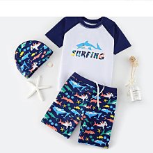 男童兩件式泳衣2023夏季新款中小童海邊沙灘泳裝套裝兒童遊泳三件套 歷史價格詳細信息