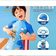 女童連身泳衣兩件式泳裝小童中大童中小學生遊泳衣連身四角褲泳裝女 歷史價格詳細信息