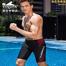 泳褲遊泳褲男士長版五分及膝專業速乾泳衣競速套裝大尺碼泳裝防尷尬 歷史價格詳細信息