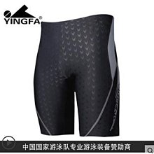 英發泳褲 男五分速乾大尺碼遊泳褲 及膝平角專業仿鯊魚皮遊泳衣成人 歷史價格詳細信息