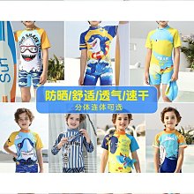 【好康】男泳褲長褲5分褲速乾大尺碼保守五分褲泡溫泉遊泳館專業競技泳衣男士 歷史價格詳細信息