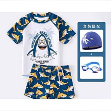 男泳衣泳褲套裝分體速幹防曬短袖五分褲泳衣訓練教練遊泳館可 歷史價格詳細信息