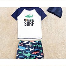 特大泳衣 2XL~5XL 加大碼連體三角褲泳裝 歐美泳裝 大尺碼連體褲泳裝 大尺寸泳衣  加大泳裝/GMU-1C46免運 歷史價格詳細信息