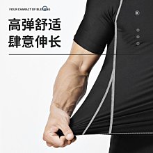 泳衣男生2023新款男士泳衣套裝成人防尷尬遊泳褲專業男款全套裝備 歷史價格詳細信息