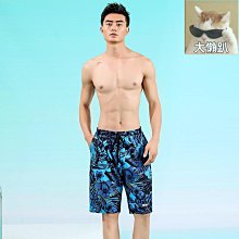 締造時尚泳褲男士三角遊泳褲雙層防尷尬比基尼彈力緊身性感斑馬紋泳衣 歷史價格詳細信息