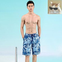 締造時尚泳褲男士三角遊泳褲雙層防尷尬比基尼彈力緊身性感斑馬紋泳衣 歷史價格詳細信息