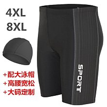 [斯頓]大蛇風箏20米30米40米成人大型長尾風箏高檔霸氣抗大風青蛇好易飛 歷史價格詳細信息