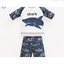 泳達2024新款泳衣歐美比基尼性感bikini女士泳裝印花 歷史價格詳細信息