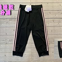 塞爾提克~免運 SOFO 女生 薄款 運動 外套 涼感 防曬 速乾 彈性 袖扣 亮桃粉 暗紋 28051-有大尺碼 歷史價格詳細信息