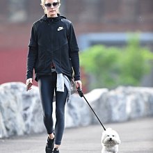 CC Collection 代購 47 Brand Yankees NY 47 孫芸芸同款 洋基深藍色棒球帽／老帽 歷史價格詳細信息