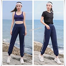 L大容量運動女健身包乾溼分離外出旅遊輕便斜挎收納袋高級感瑜伽 歷史價格詳細信息