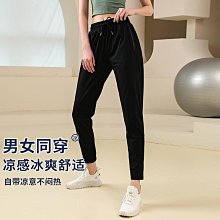 大碼鯊魚褲女夏季外穿要高收腹提臀芭比褲加肥加大胖mm緊身打底褲 歷史價格詳細信息