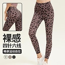 豹紋瑜珈健身髮帶 戶外越野騎行導汗帶 運動髮帶 鬆緊髮箍 瑜伽彈力髮帶 束髮帶 跑步止汗頭帶 歷史價格詳細信息