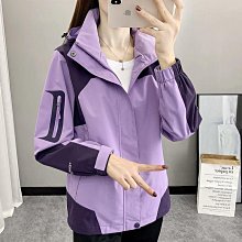 女鞋戶外登山鞋2023秋季新款361網面徒步耐磨緩震運動鞋3303 歷史價格詳細信息