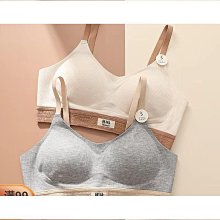 小胸聚攏顯大內衣女光面無痕無鋼圈固定胸墊一體睡眠運動舒適文胸好康推薦 歷史價格詳細信息