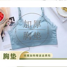 好物好奇小姐大胸顯小胸內衣女法式蕾絲夏季超薄性感文胸罩套裝收副乳 歷史價格詳細信息