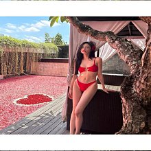 感比基尼 高品質 露背美背泳衣兩組件 游泳溫泉泡湯 泳衣 bikini 歷史價格詳細信息
