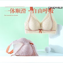 【締造】蕾絲繡花古箏罩防塵罩 k敦煌163通用款古箏箏罩蓋布新古典古箏套 歷史價格詳細信息